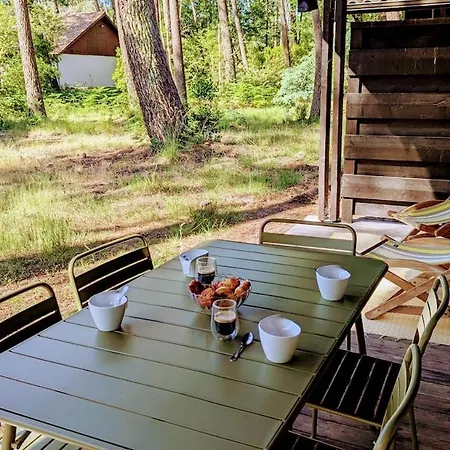 La Petite Maison Dans La Pinede