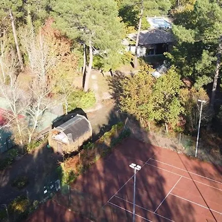 La Petite Maison Dans La Pinede * Lacanau