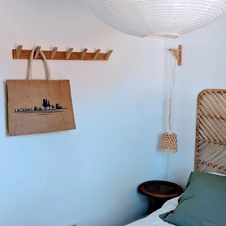 La Petite Maison Dans La Pinede Nyaraló Lacanau